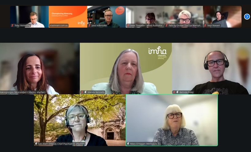 A screenshot of the panellists and facilitators during the IMHA online event.